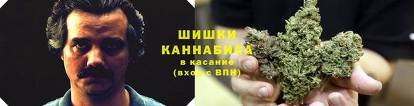 прущие крисы Надым