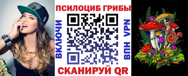 Псилоцибиновые грибы мицелий  Новоалександровск 