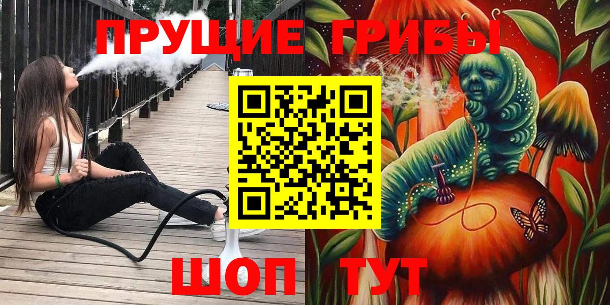 Галлюциногенные грибы Psilocybe  Новоалександровск 